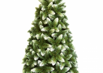 Елка пушистая альпийская белоснежная