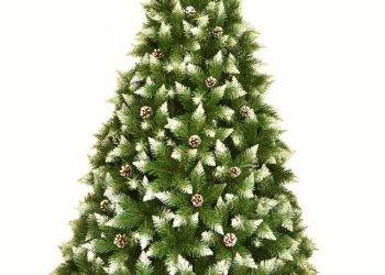 Елка беловежская белоснежная с шишками