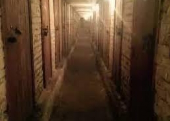 ячейка в овощехранилище ГСК "Бункер"