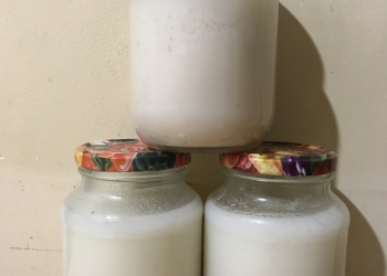 Экологически чистые продукты с севера