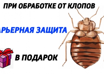 Уничтожение клопов и тараканов в Санкт-Петербурге.