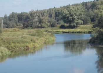 Дом 20 м2 Волоколамский район, д. Чернево