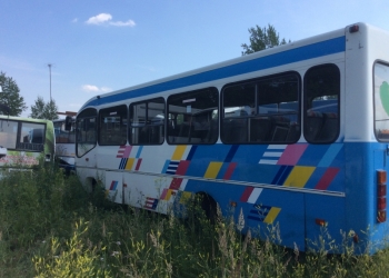 автобус голаз