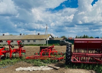 Продается с/х молочная ферма и земля 220 Га