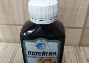  -   ,  "", 1 