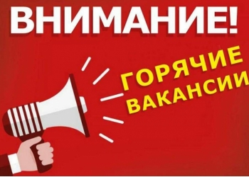 Представитель интернет магазина удаленно.