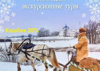 Новогодние и Рождественские программы! Кэшбек 20% при оплате картой МИР