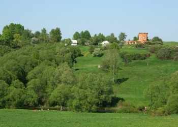 Куплю земельный участок в с. Никольское, Жуковский р-н Калужской обл.