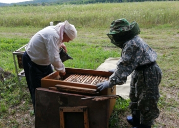 Продаю натуральный мёд с липы