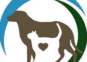 Акушерство животных