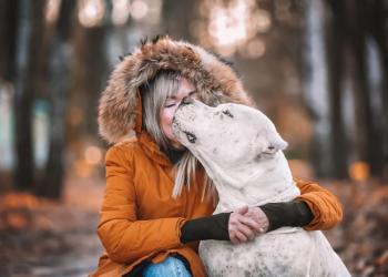 Аргентинский дог