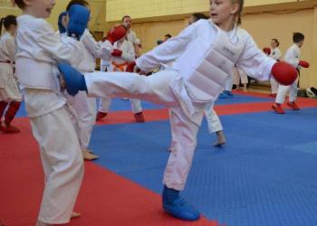 Секция каратэ во Владимире