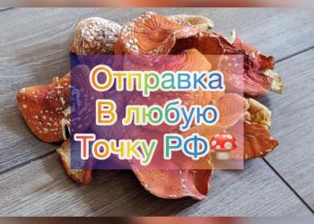 Мухомор сушёный шляпки