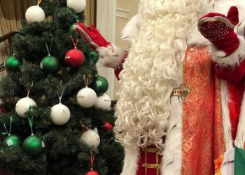 Дед Мороз на дом