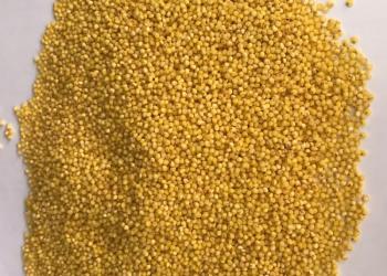 Продам Пшено В/С