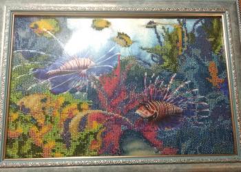 Подводный мир