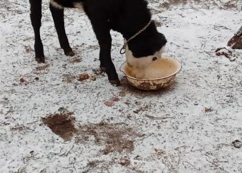 Срочно продам