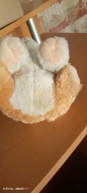 Щенок мягкий