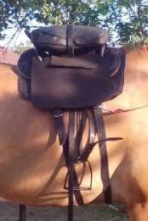 Амуниция для лошади