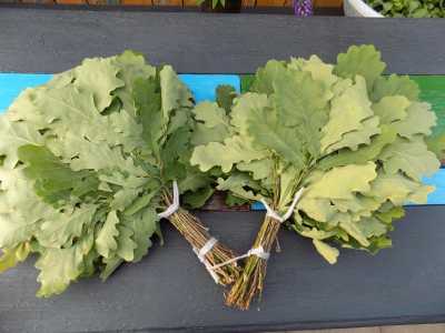 Веники для бани