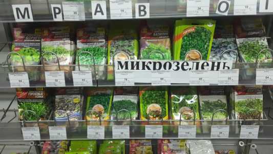 Семена микрозелени