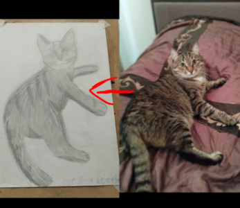 Нарисую вашего питомца