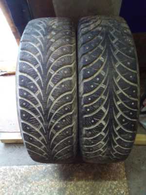 Зимние шины SAVA