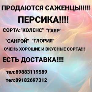 Продаются саженцы персика!!!