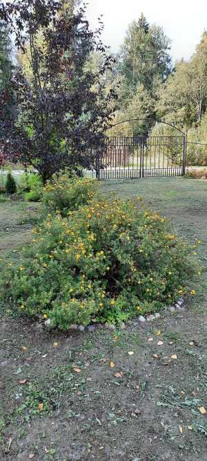 Продам дачу