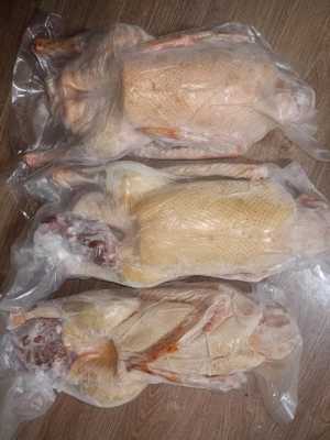 Мясо молодого гуся