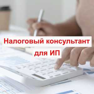 Налоговый консультант для ИП