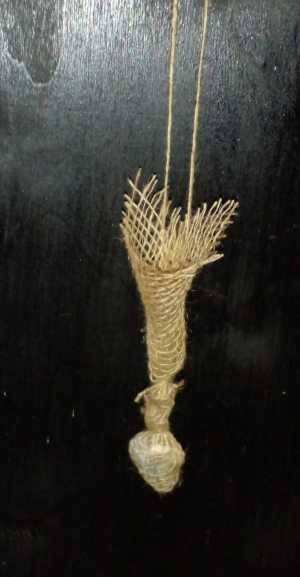 Маятник для биолокации