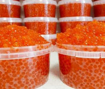 Красная икра 2024