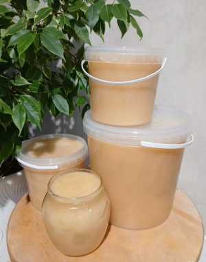 Мед Донниковый