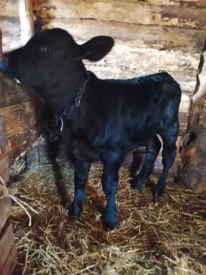 Частное лицо