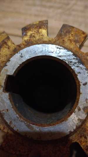 Быстрорежуших