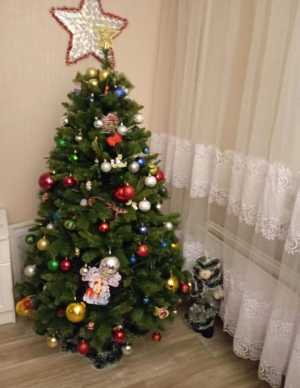 Ёлка с шишками и игрушками