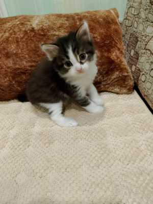 А ты возьмёшь меня к себе?