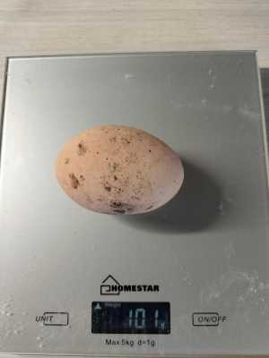 Куриные деревенские яйца