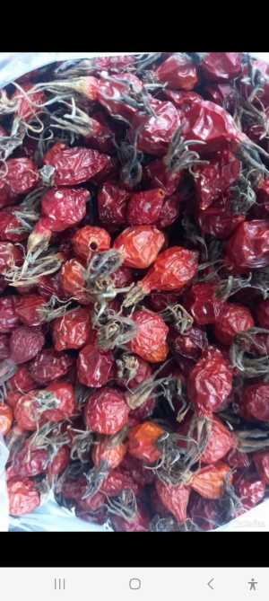 Продам шиповник сушеный