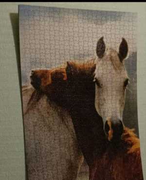 2Пазла на стену