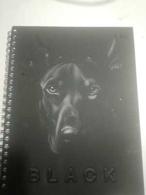 Тетрадь школьная. 96 л