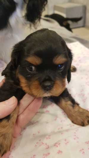 ������ ������ ������ "�������-����-������-��������"