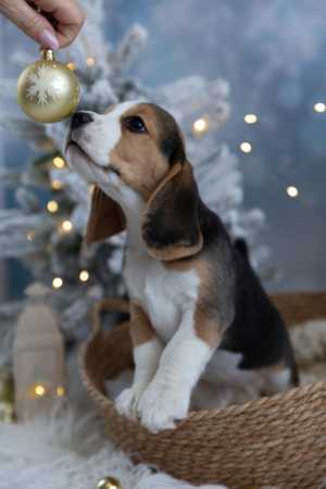 �����. �����.