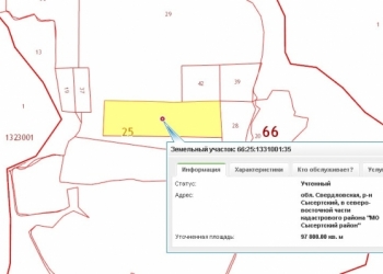 Земля с/х назначения 978 соток д.Черданцево