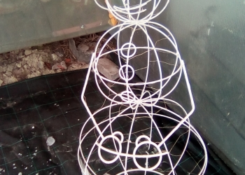 Новогодняя иллюминация