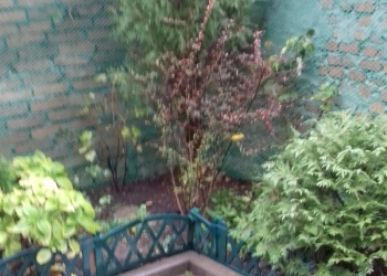 56 �2, 2/3 ��.