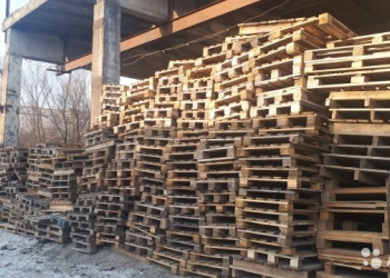 Куплю поддоны дорого