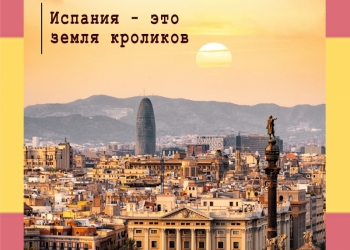 Английский, подготовка к ЕГЭ, экзамены с онлайн центр изучения иностранных языко