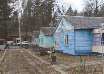 Сдам в аренду